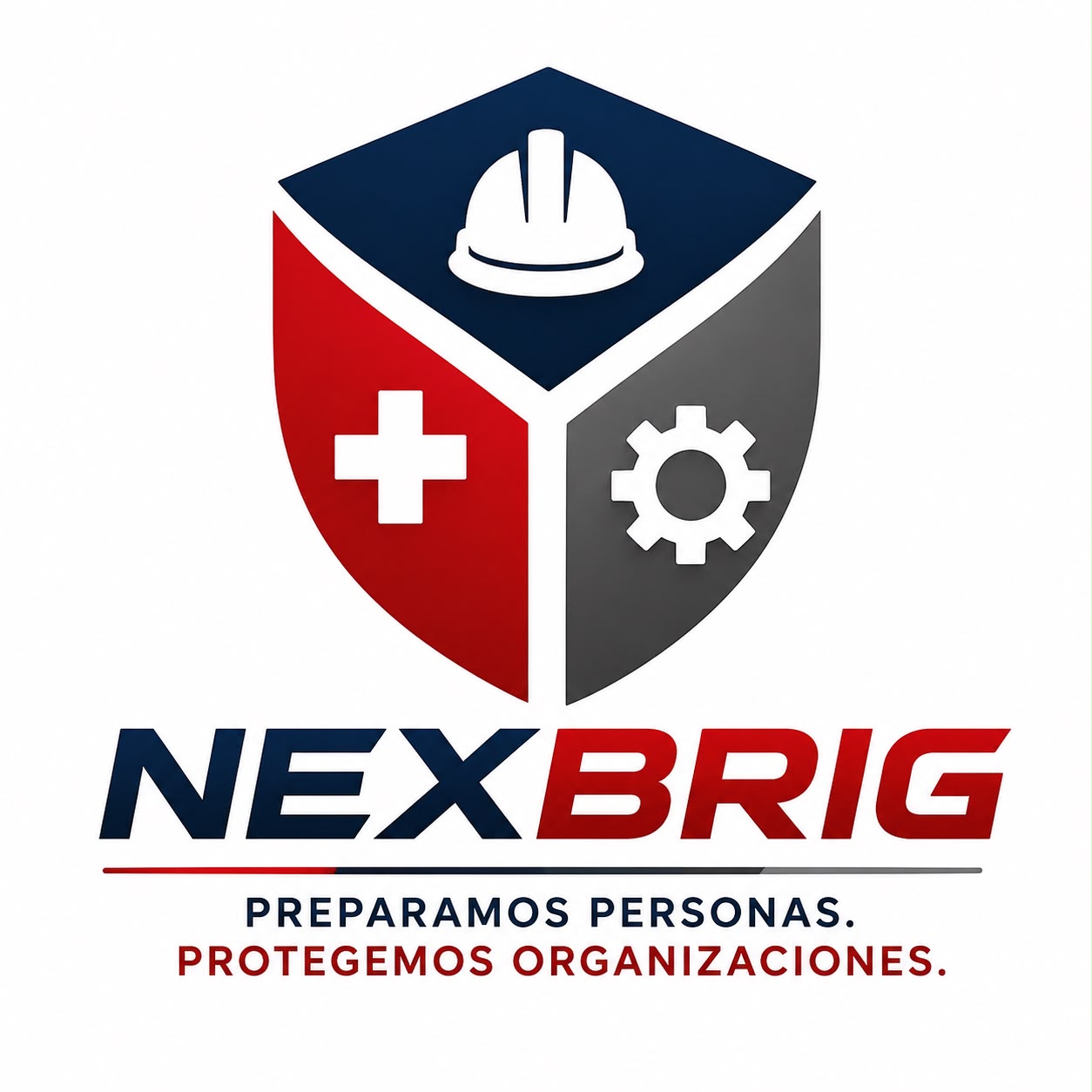 Logo de NEXBRIG